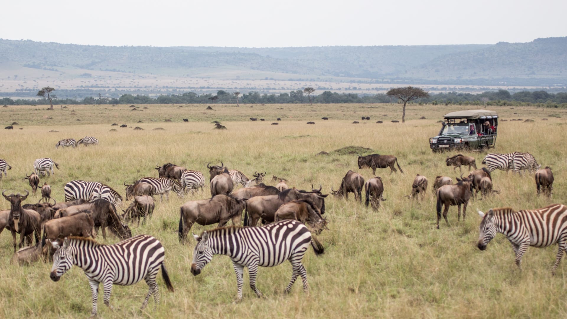 Sentinel Mara Camp - Masai Mara Tented Camp